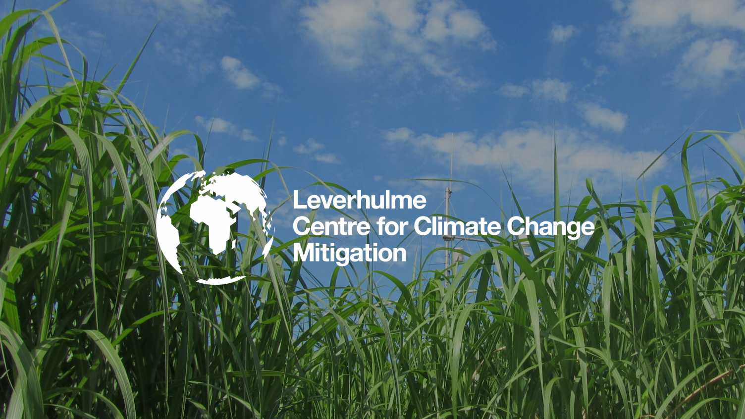Thumbnail for Accelerating global commercialisation of ERW for atmospheric carbon removal | Le…