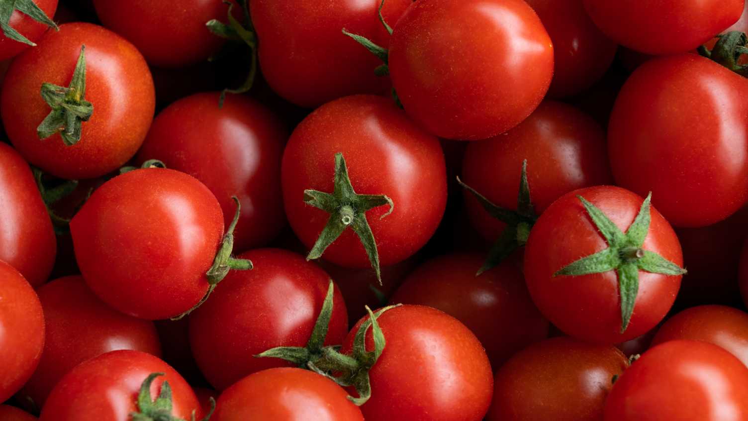 Thumbnail for New study to measure effect of dietary supplement from tomatoes on men with fert…