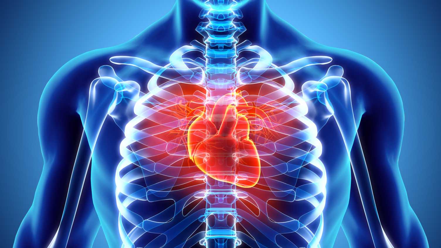 Thumbnail for Virtual blood vessel technology could improve heart disease care | Insigneo Inst…