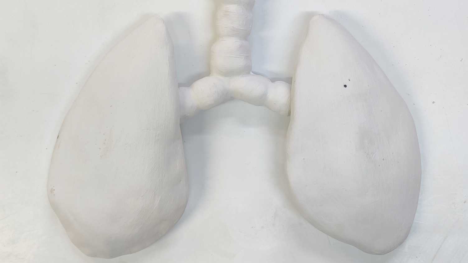 Thumbnail for Blog | Cripping Breath 
