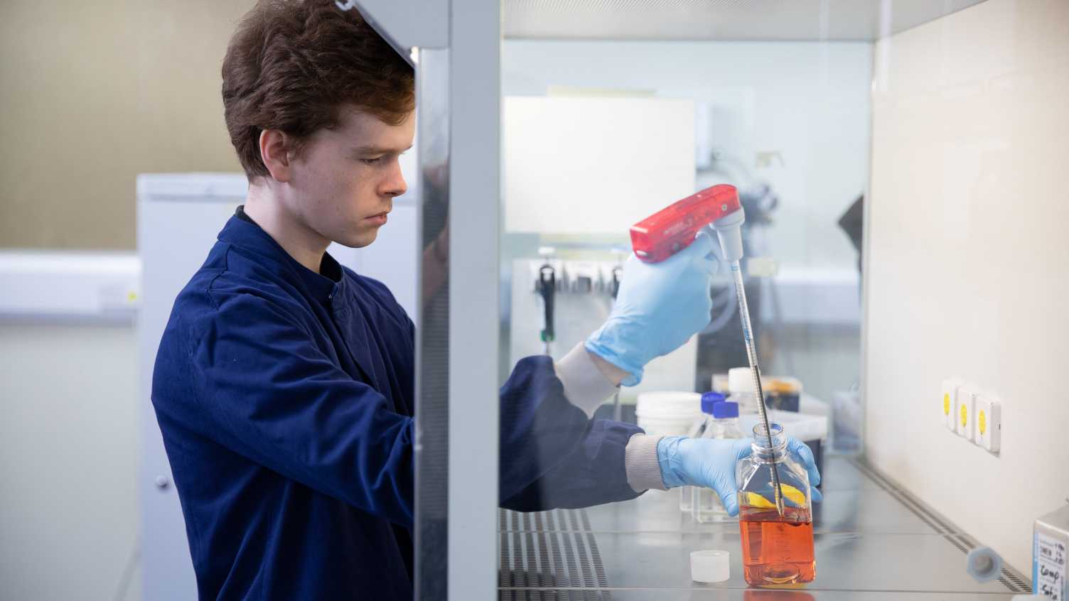 Thumbnail for Cancer Biology and Therapeutics MSc | 2025 | Postgraduate