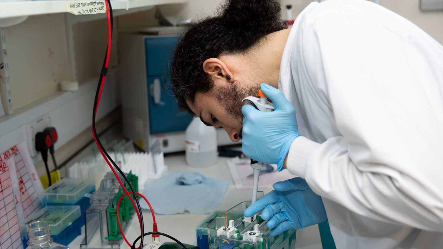 Thumbnail for Advanced Cell and Gene Therapies MSc | 2025 | Postgraduate