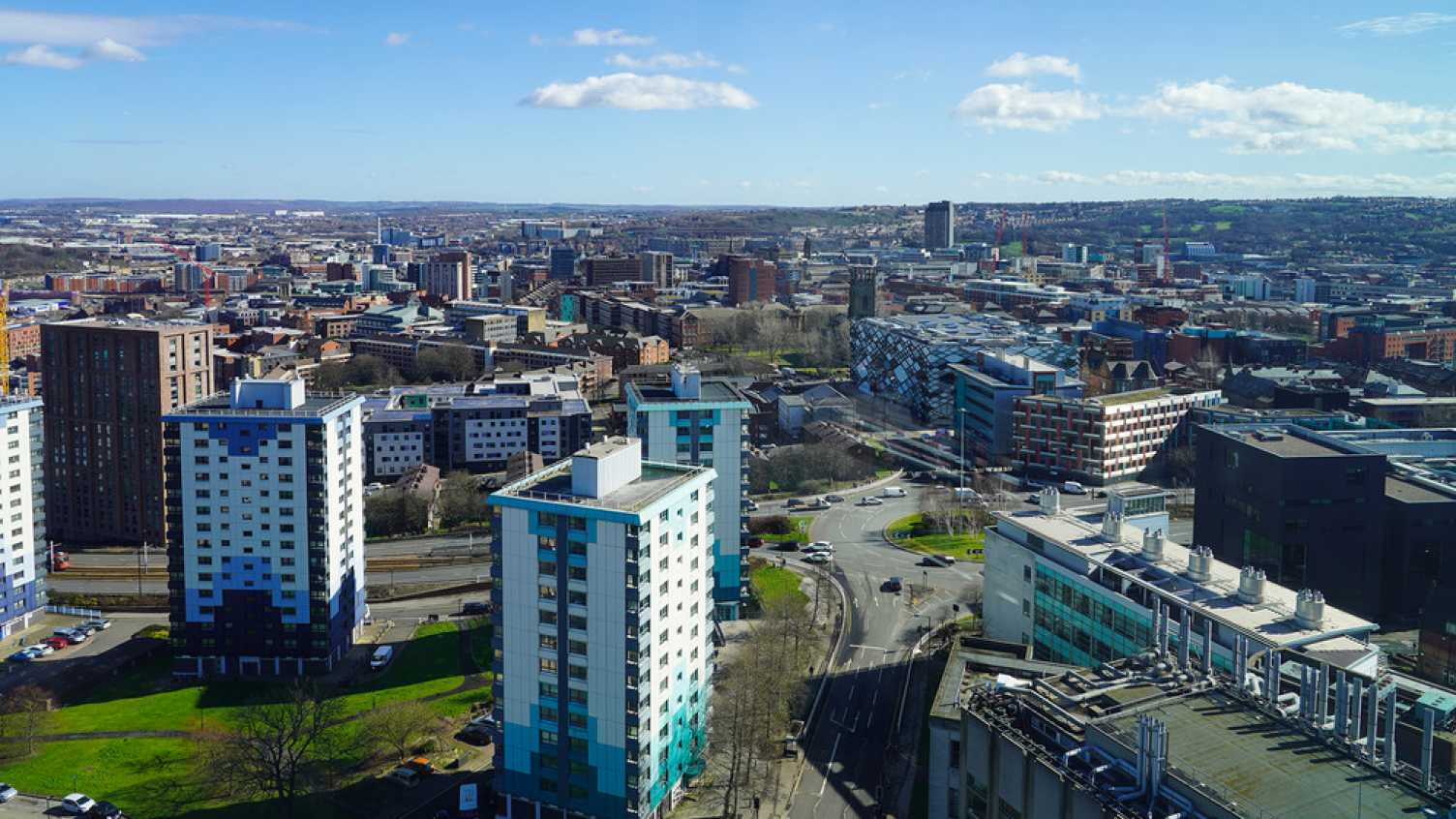 Thumbnail for Tree works planned for Upper Hanover Street | EFM 