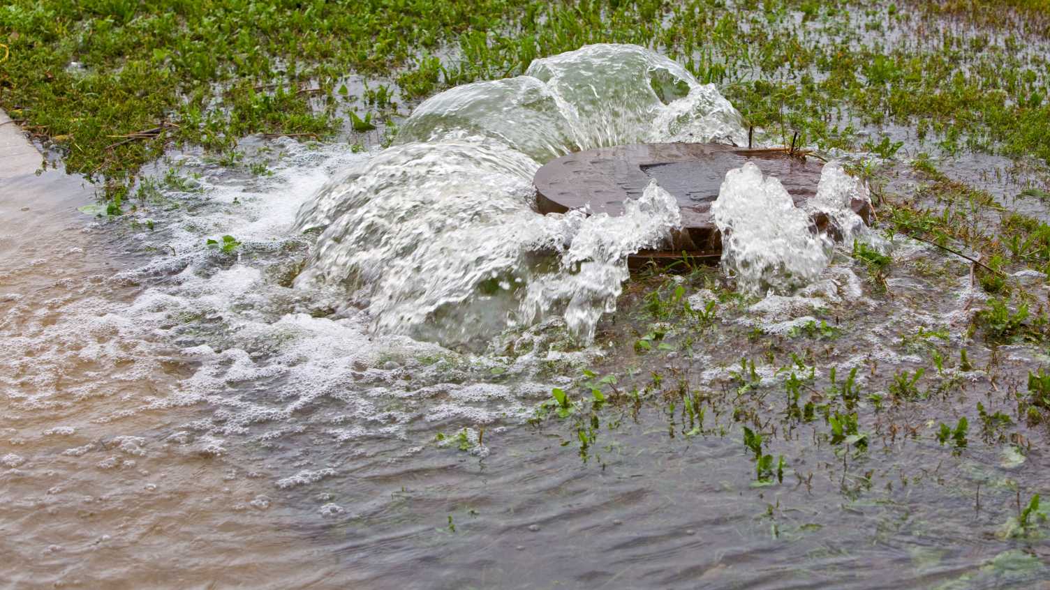 Thumbnail for Cloud-based AI helps to reduce river pollution | News 