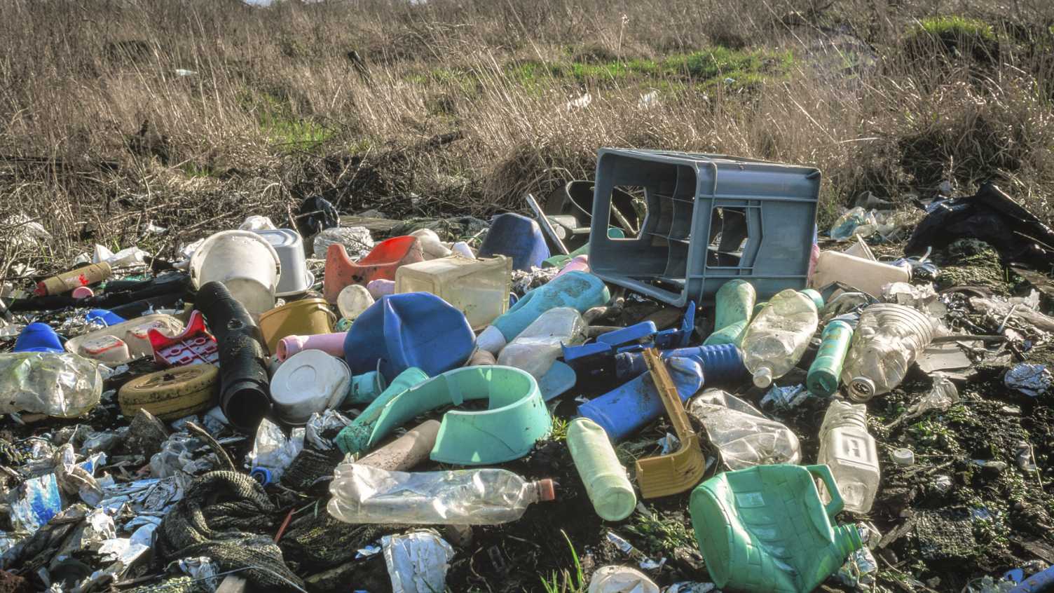 Thumbnail for Consumers angry at retail industry for producing plastic waste, study finds | Ne…