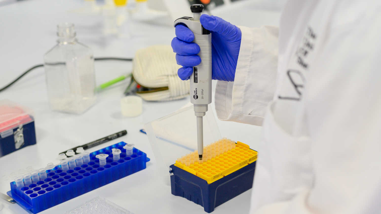 Thumbnail for Bioengineering Bacterial Lab | Faculty of Engineering 