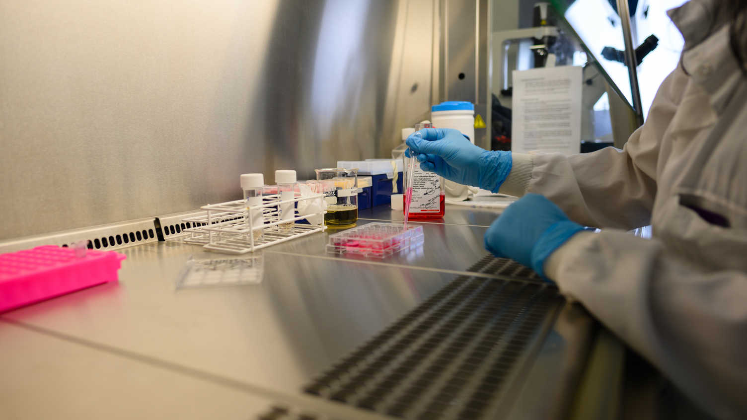 Thumbnail for Bioengineering Tissue Lab | Faculty of Engineering 
