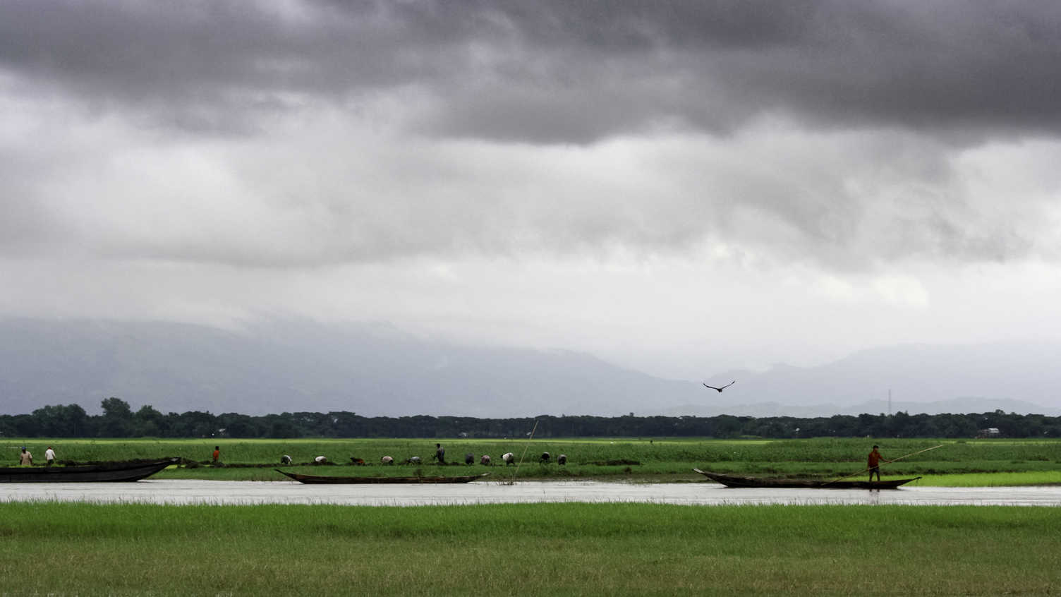 Thumbnail for UI Associate wins half a million-pound grant for developing wetland stewardship …