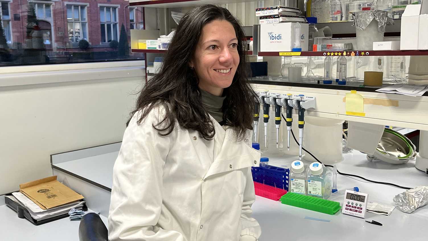 Thumbnail for New research to investigate protein that fuels breast cancer | News 
