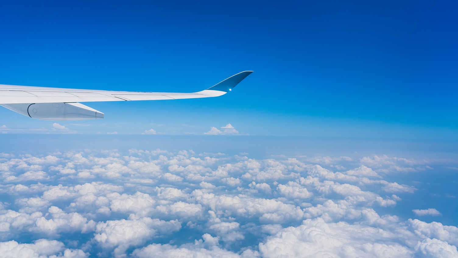 Thumbnail for University of Sheffield to speed up sustainable aviation fuel production | News 