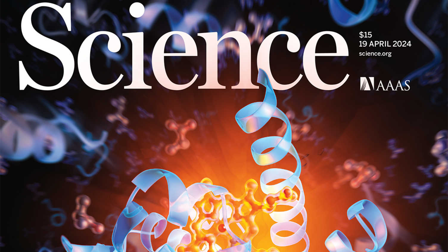 Thumbnail for De novo designed bilin-binding proteins | Photosynthesis 