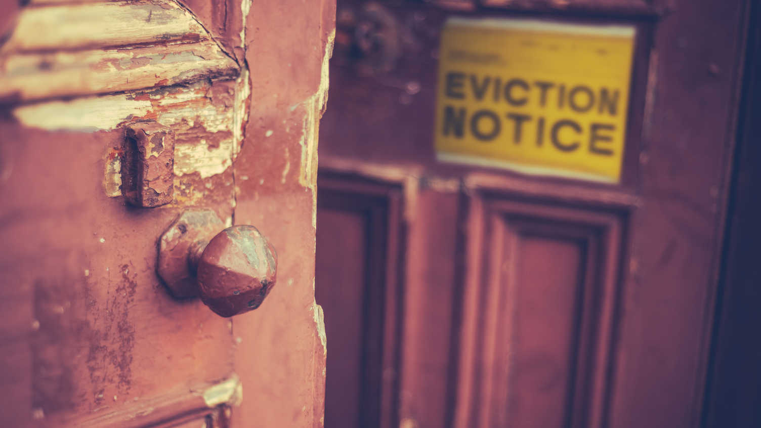 Thumbnail for New report on refugee homelessness published | Urban Institute 