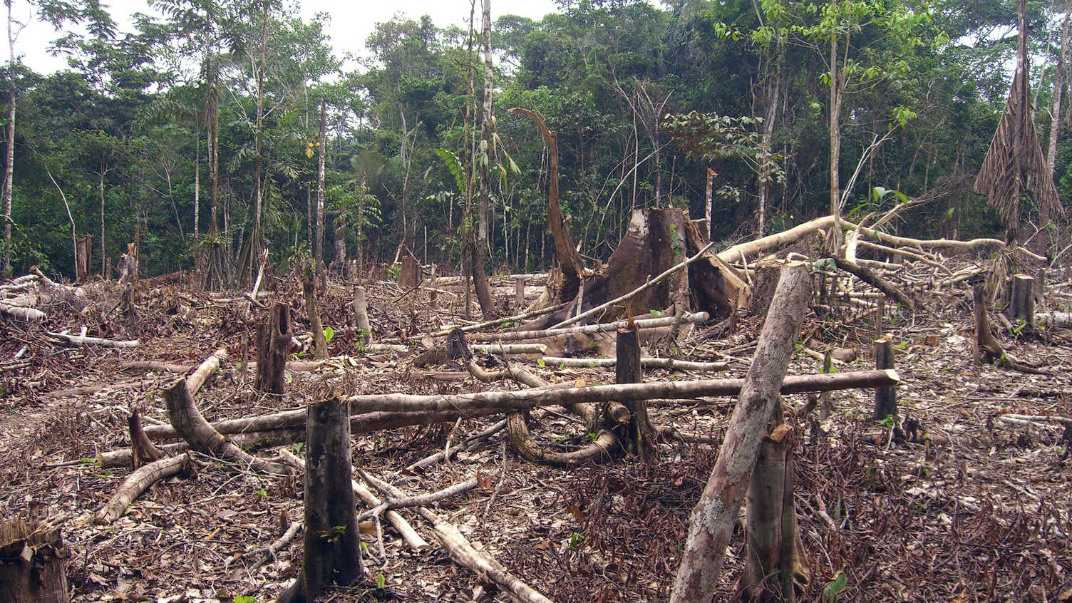 Thumbnail for Rethinking Our Relationship with Earth in the Anthropocene Era | Geography and P…