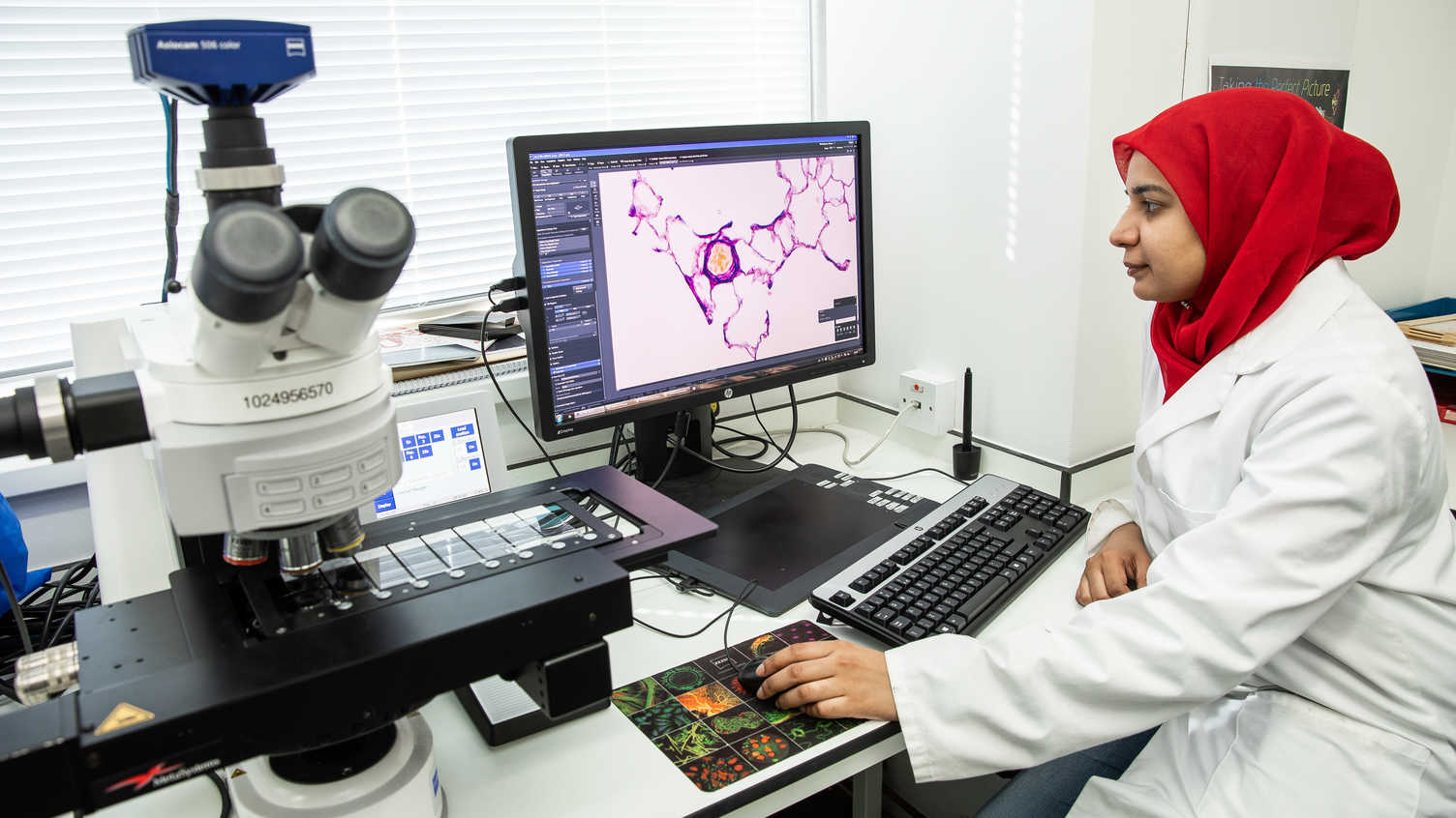 Thumbnail for Biomedical Science MSc | 2025 | Postgraduate