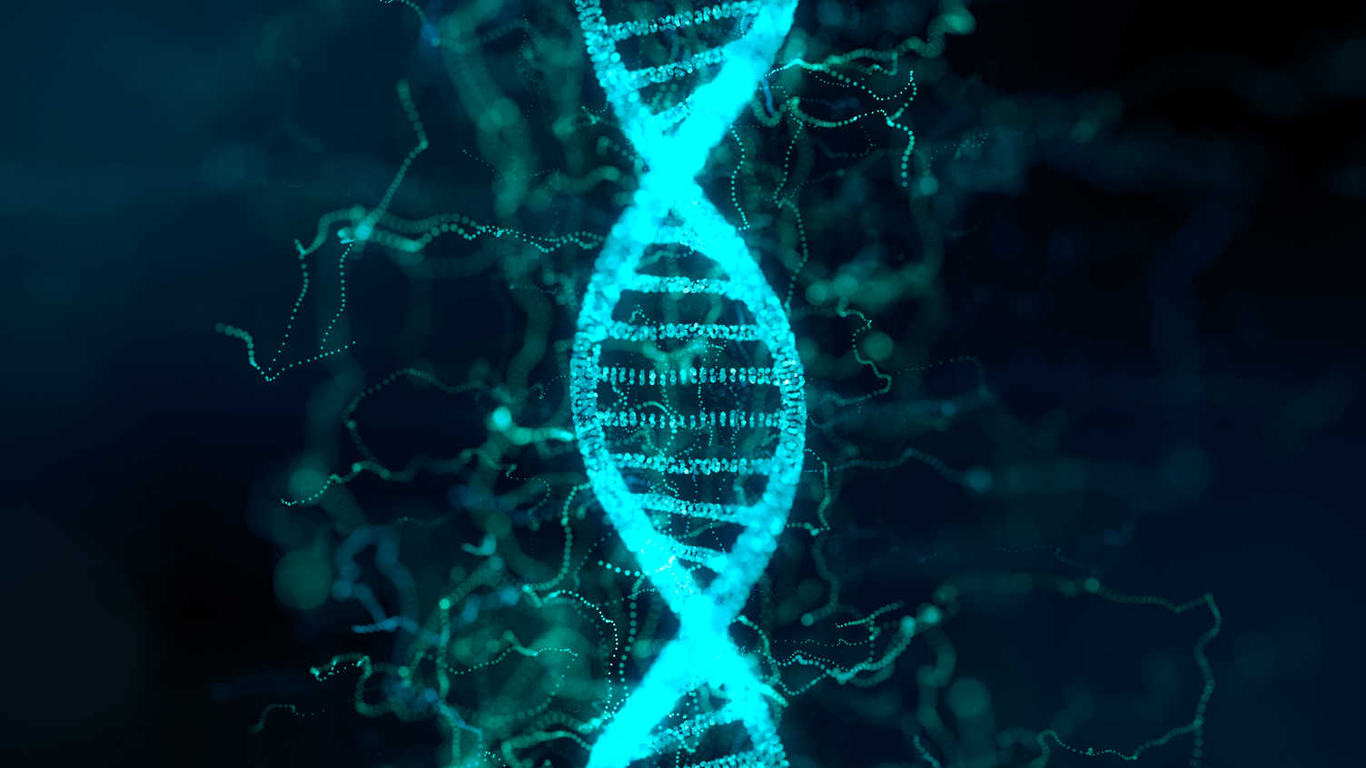 Thumbnail for Sheffield researchers help discover previously unidentified genes linked to rare…