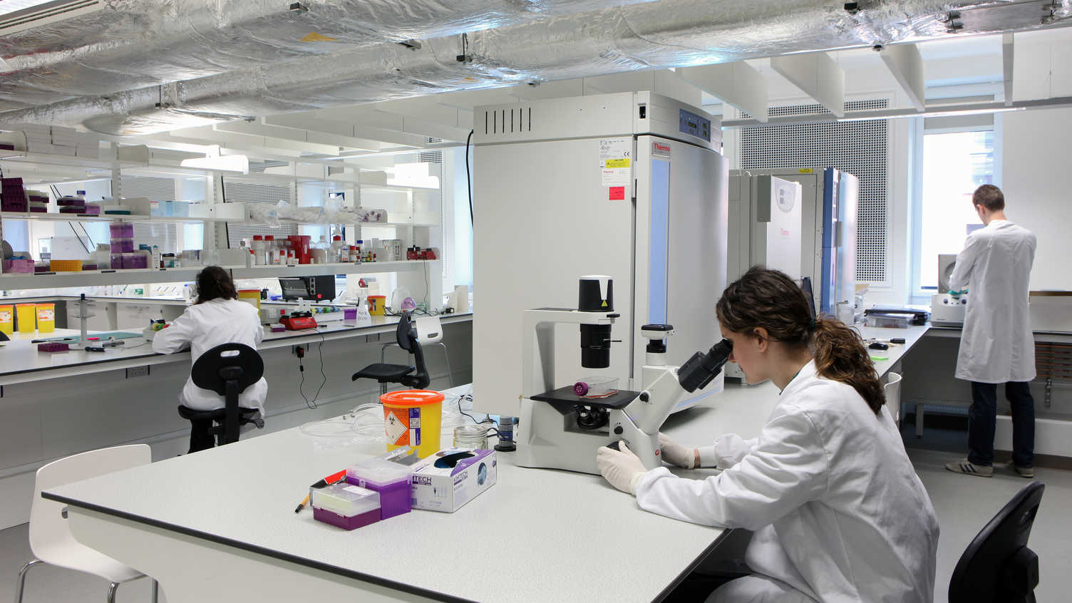 Thumbnail for University of Sheffield advances lab environmental sustainability as 10 achieve …