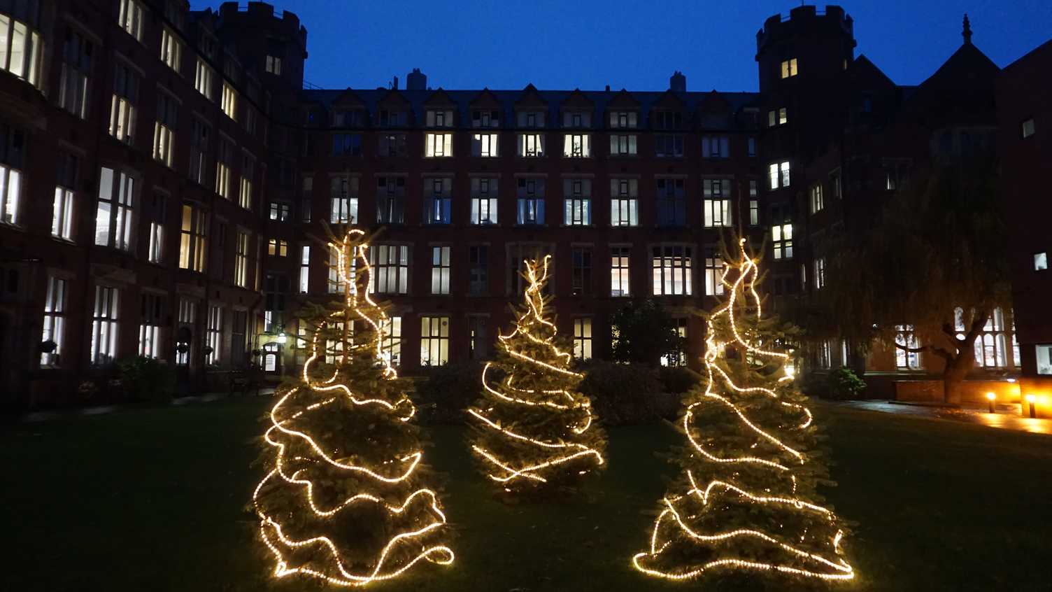 Thumbnail for Real vs Fake: The sustainable Christmas tree debate | News 
