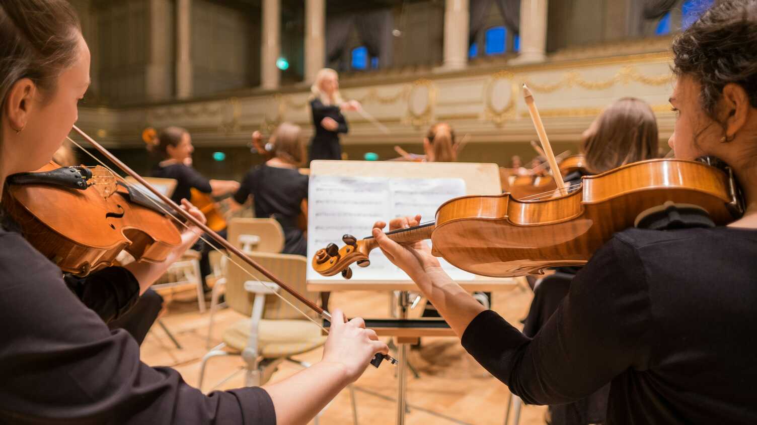 Thumbnail for New book fosters global conversation about the psychology of music | Muses Mind …