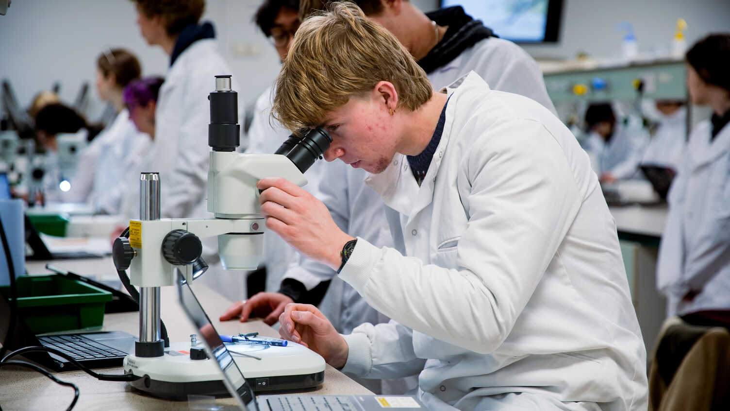 Thumbnail for Zoology MBiolSci | Undergraduate study 