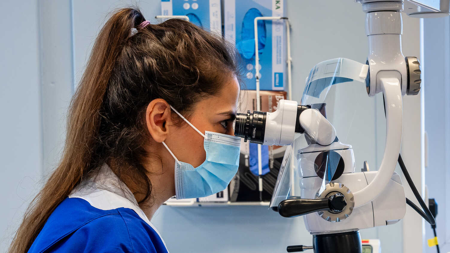 Thumbnail for Endodontics DClinDent | 2025 | Postgraduate