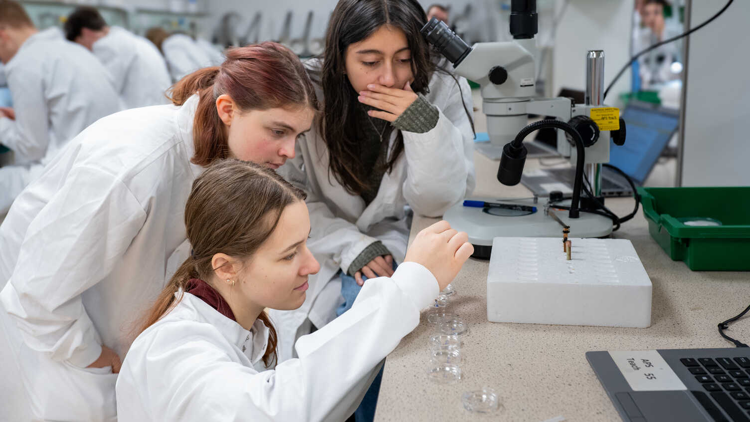 Thumbnail for Biological Sciences BSc | Undergraduate study 