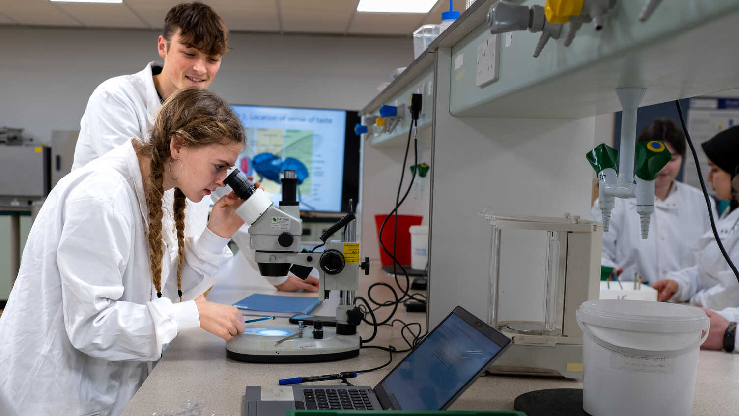 Thumbnail for Biological Sciences with Placement Year MBiolSci | Undergraduate study 