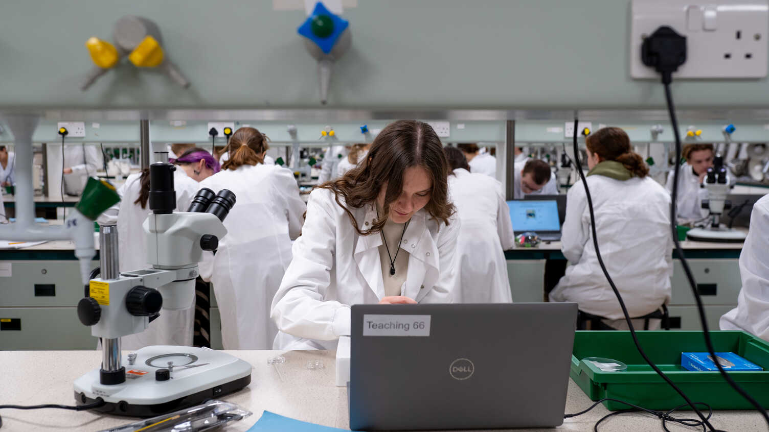 Thumbnail for Biological Sciences MBiolSci | Undergraduate study 