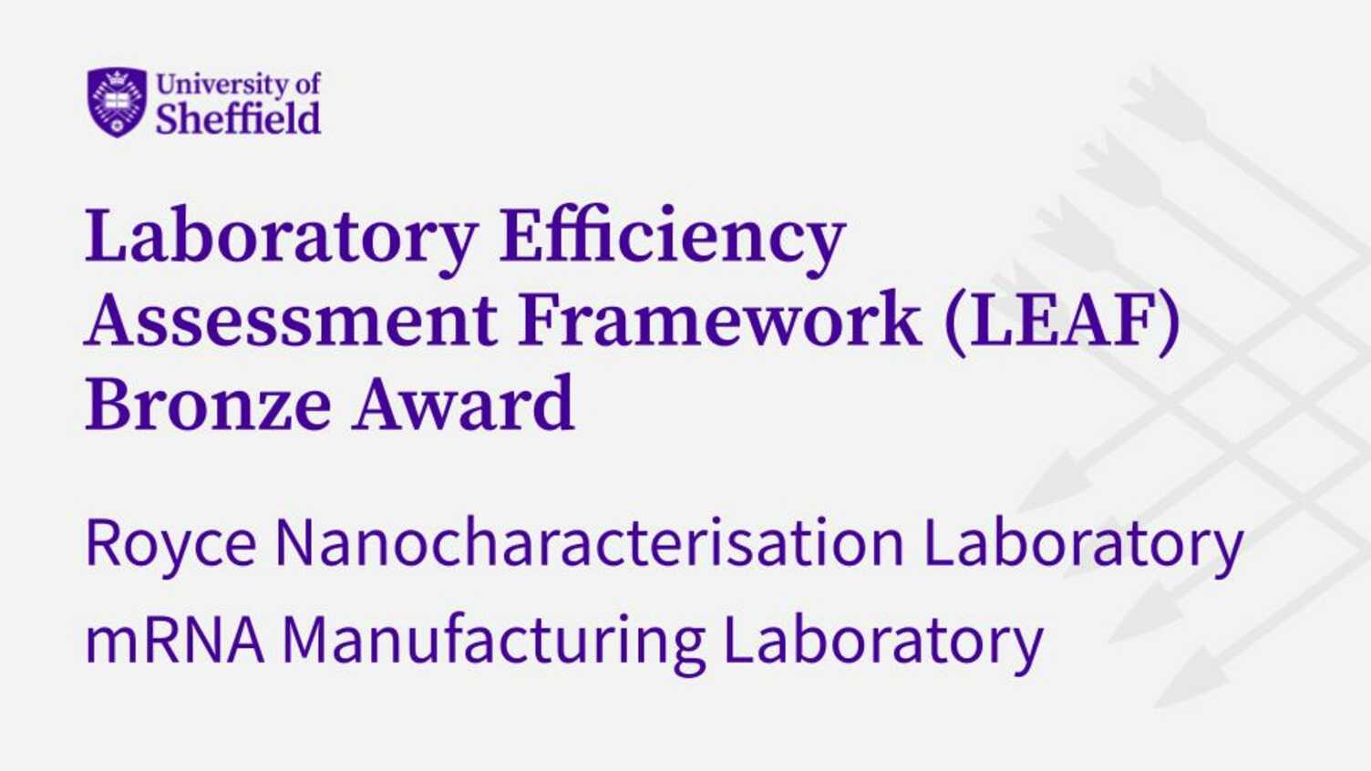 Thumbnail for Working towards more sustainable lab practices | CMBE 