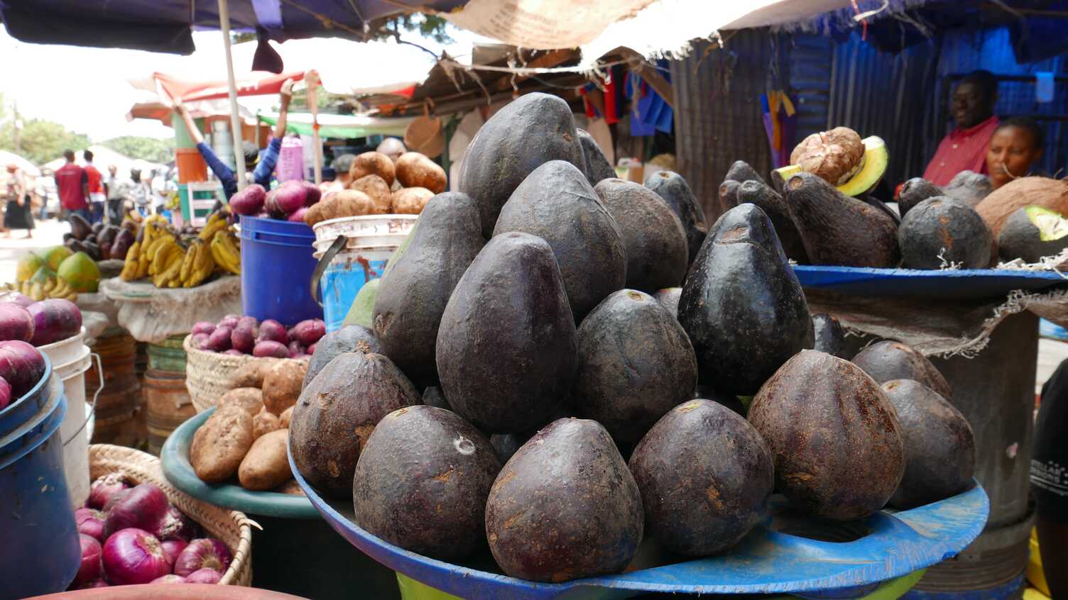 Thumbnail for Changing food waste regimes in Tanzania's avocado trade | Institute for Sustaina…