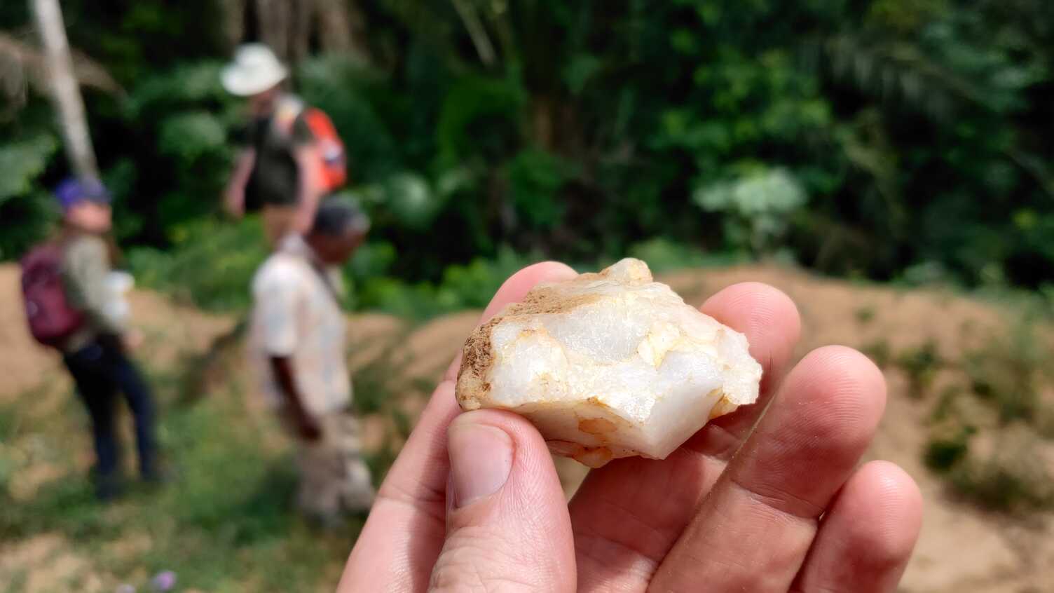 Thumbnail for Scientists find earliest evidence that our ancestors lived in rainforests 150,00…