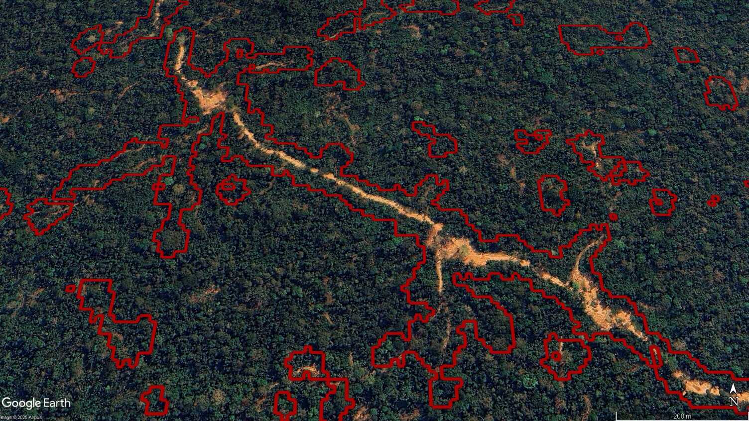 Thumbnail for New technology helping fight against illegal logging of Peru’s valuable rainfo…