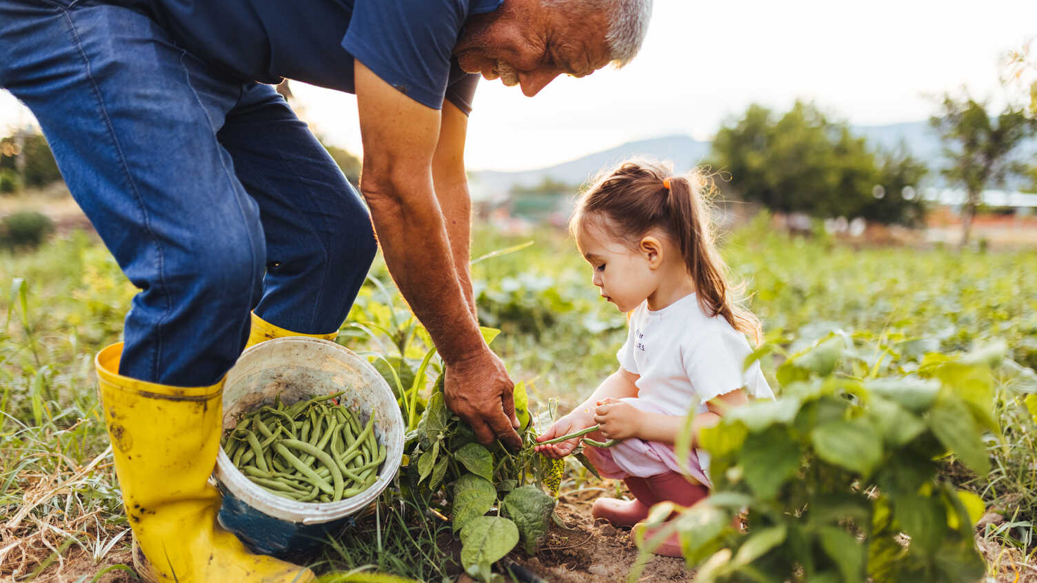 Thumbnail for Food access/ inequalities across the life-course | Institute for Sustainable Foo…
