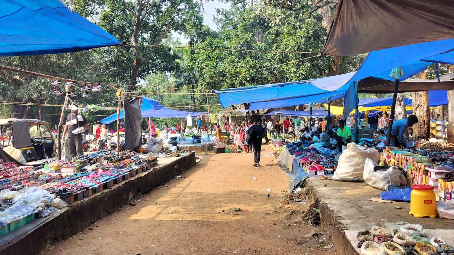 Thumbnail for Climate-resilient post-harvest market systems | Institute for Sustainable Food 