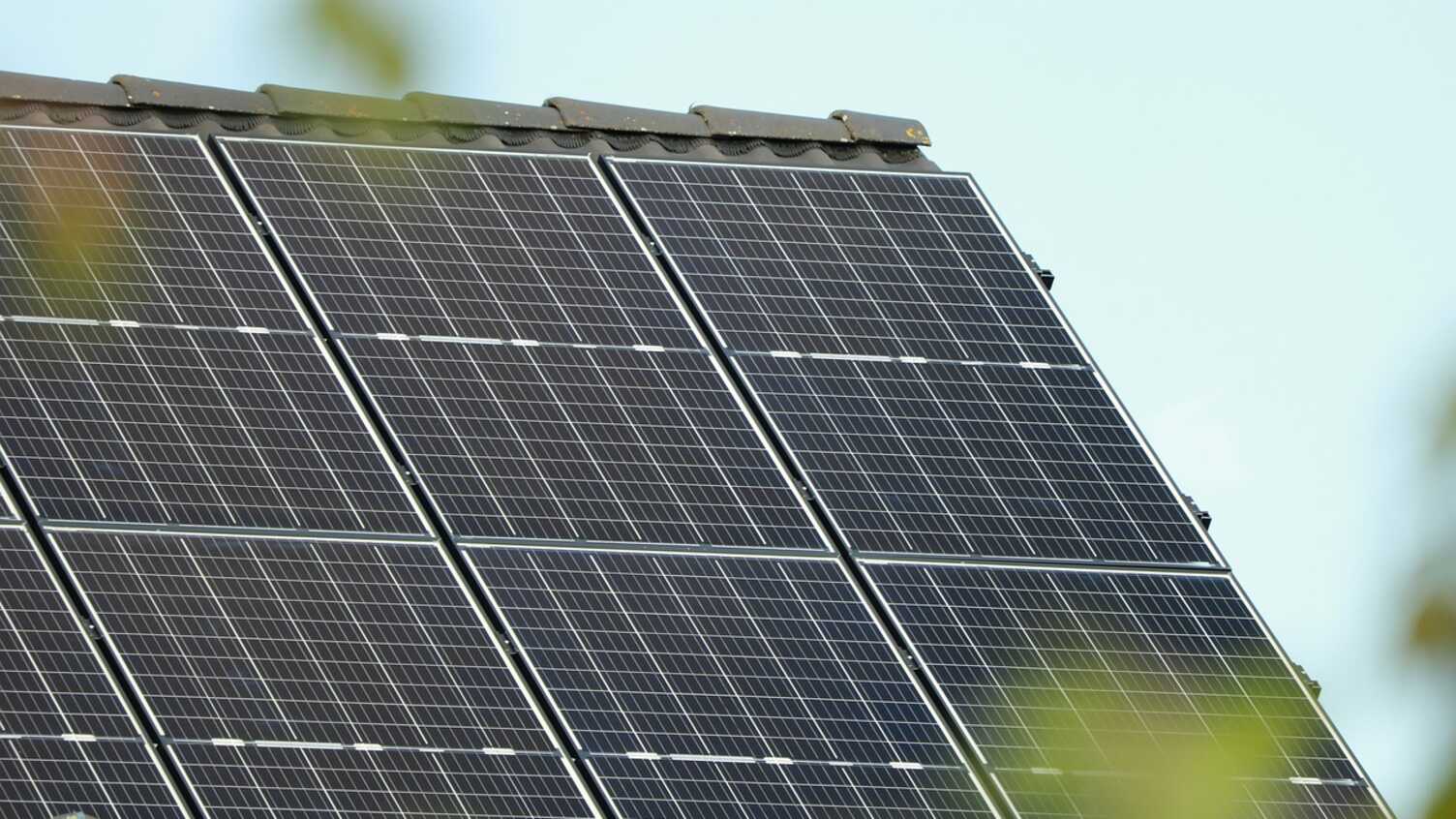 Thumbnail for Trading energy with neighbours could lower bills and carbon emissions, study sug…