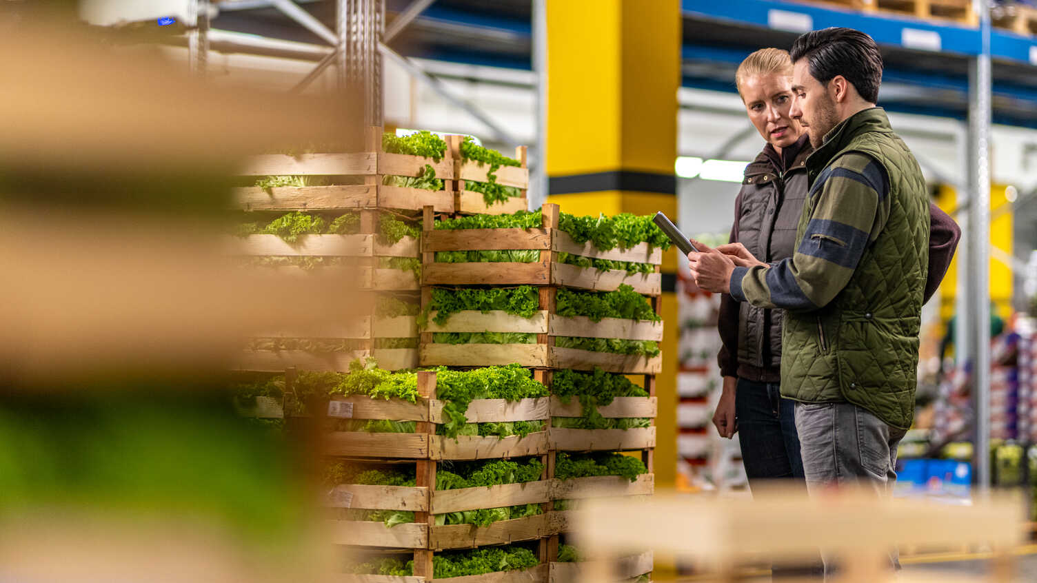 Thumbnail for Resilient net zero agri-food supply chains | Institute for Sustainable Food 