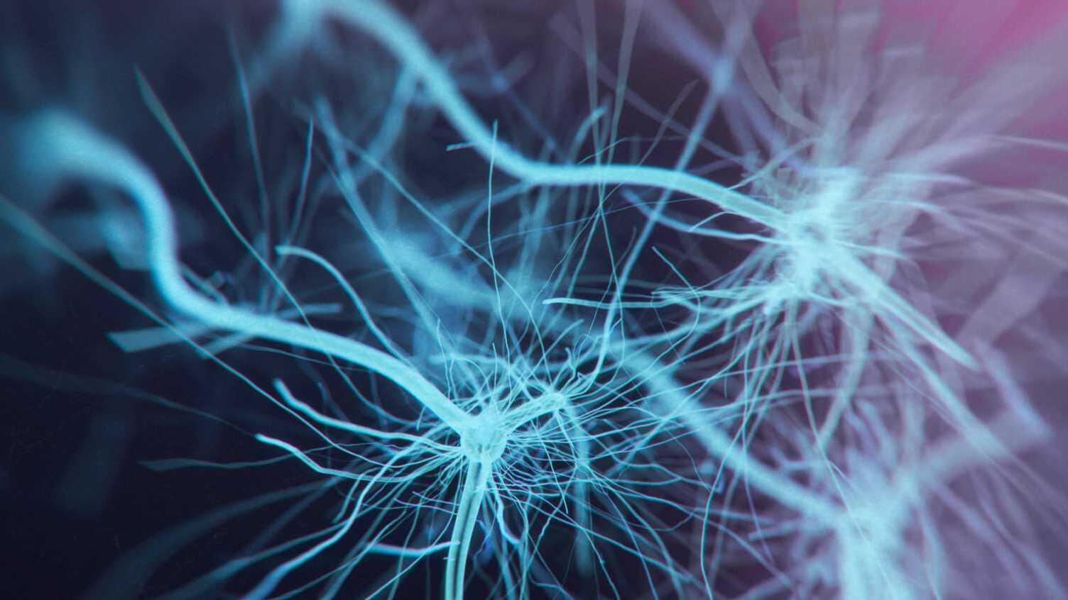 Thumbnail for Crucible Therapeutics awarded £2.3 million to develop breakthrough therapies th…